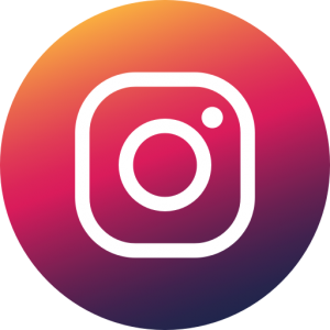iconfinder instagram 2142569 300x300 آرگان تراپی چیست؟